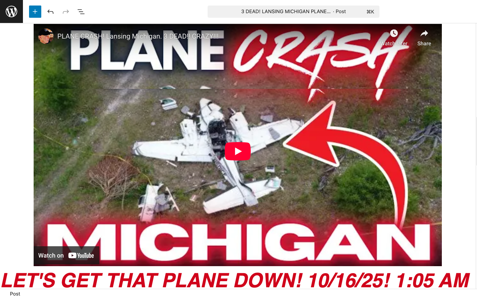 This image has an empty alt attribute; its file name is LETS-GET-THAT-PLANE-DOWN-.png