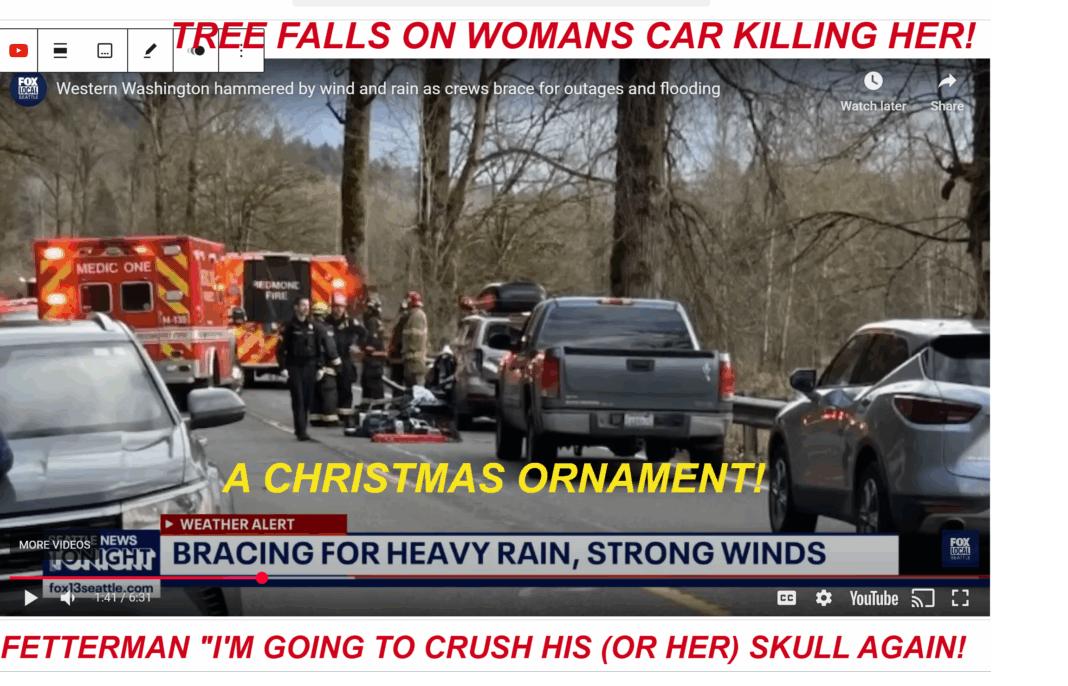 A CHRISTMAS TREE ORNAMENT. (Tree falls on top of individual killing them)! DON’T EVER TOUCH HIM OR HIS FAMILY! I’LL CRUISE YOUR FAMILY STRAIGHT INTO HELL! VIOLENTLY! DON’T EVER TOUCH HIM OR HIS FAMILY FEDERAL GOVERMENT, TRUMP, HIS FAMILY, HIS CABINATE, AND ASSOCIATES, ASSASSINS, AND SNIPERS ALIKE, OR ANYONE! I’MA GET YOU SECRATARIES, ASSISTANTS, AND SURVEILANCE TEAMS! THE WHITE HOUSE AND CABINET MEMBERS AND THEIR FAMILIES! THOSE THAT SAY I’M JUST DOING MY JOB AND I DO IT AS THE ONE AND ONLY THE GOD ALMIGHTY THE ALPHA AND OMEGA THE BEGINNING AND THE END YOU FOOL! MY JOB IS TO KILL YOU VIOLENTLY! SAITH THE GOD OF REVELATION! THE LORD JESUS CHRIST! I’LL CRUISE YOUR FAMILY STRAIGHT INTO HELL! VIOLENTLY, AND ADAPT TO CAUSE! Luke 17:2 It were better for him that a millstone were hanged about his neck, and he cast into the sea, than that he (the list above and their families) should offend AARON or one of these little ones!